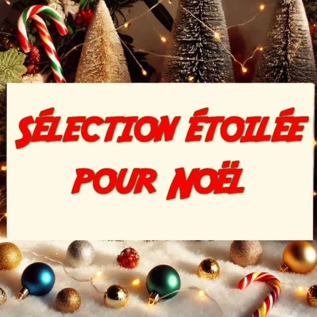 Sélection étoilée pour Noël
Roman - My Teen Romantic Comedy Is Wrong As Expected
Le jeune Hachiman a une vision des plus pessimistes de la vie. De toute façon, sa situation actuelle ne le pousse g uère à déborder d’optimisme : pas d’amis, pas de petite amie et sa capacité à envisager l’avenir est totalement nulle. Pour le faire changer, sa conseillère d’orientation le pousse à rejoindre le « Club des Volontaires » qui vise à aider les lycéens à résoudre leurs problèmes et à réaliser leurs rêves. Néanmoins, ses ennuis ne font que commencer : déjà forcé à se remettre en question, Hachiman apprend qu’il doit coopérer avec Yukino, une élève, aussi brillante que sarcastique et antipathique, qui ne lui laissera aucun répit. La rencontre de ces deux lycéens aux caractères si différents risque de créer des étincelles. 
VF:5 (En cours) - VO: 14 (Terminé)